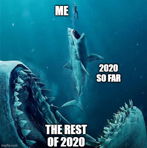 2020 | ME; 2020 SO FAR; THE REST OF 2020 | image tagged in 2020,me,memes,omg,bruh,shit | made w/ Imgflip meme maker