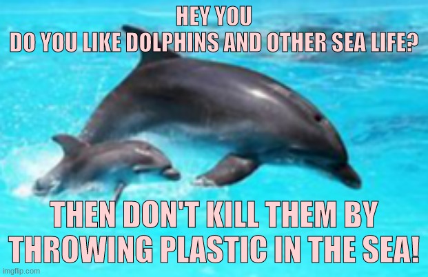 #SaveTheSea | HEY YOU

DO YOU LIKE DOLPHINS AND OTHER SEA LIFE? THEN DON'T KILL THEM BY THROWING PLASTIC IN THE SEA! | image tagged in dolphin,plasic is bad,sea life,savethesea | made w/ Imgflip meme maker