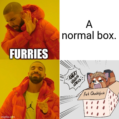 Fort drake bling. | A normal box. FURRIES | image tagged in drake hotline bling,funny,memes,funny memes,furry memes | made w/ Imgflip meme maker