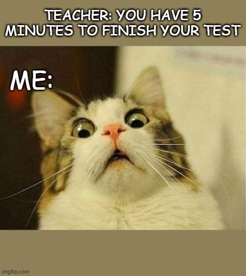 Scared Cat Meme | TEACHER: YOU HAVE 5 MINUTES TO FINISH YOUR TEST; ME: | image tagged in memes,scared cat | made w/ Imgflip meme maker