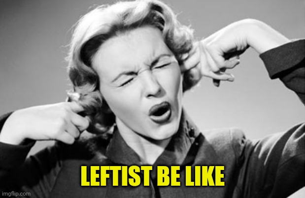 If I ignore the truth it will go away | LEFTIST BE LIKE | image tagged in if i ignore the truth it will go away | made w/ Imgflip meme maker