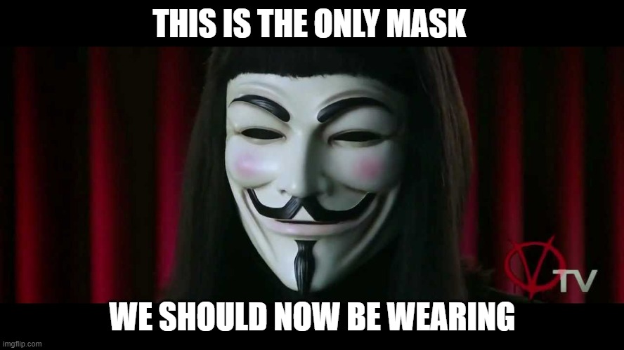 Mask | THIS IS THE ONLY MASK; WE SHOULD NOW BE WEARING | image tagged in v for vendetta | made w/ Imgflip meme maker