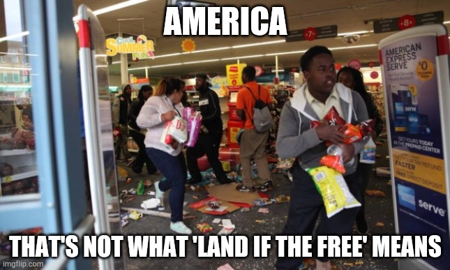 looters | AMERICA; THAT'S NOT WHAT 'LAND IF THE FREE' MEANS | image tagged in looters | made w/ Imgflip meme maker