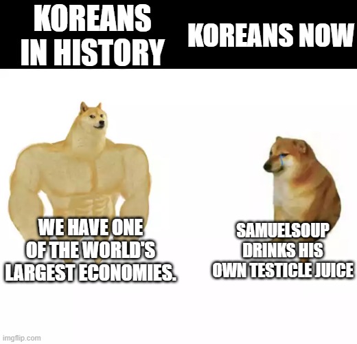 True story | KOREANS IN HISTORY; KOREANS NOW; WE HAVE ONE OF THE WORLD'S LARGEST ECONOMIES. SAMUELSOUP DRINKS HIS OWN TESTICLE JUICE | image tagged in buff doge vs cheems | made w/ Imgflip meme maker