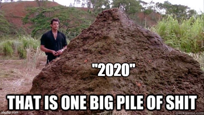 one big pile | "2020" | image tagged in poop,2020 | made w/ Imgflip meme maker