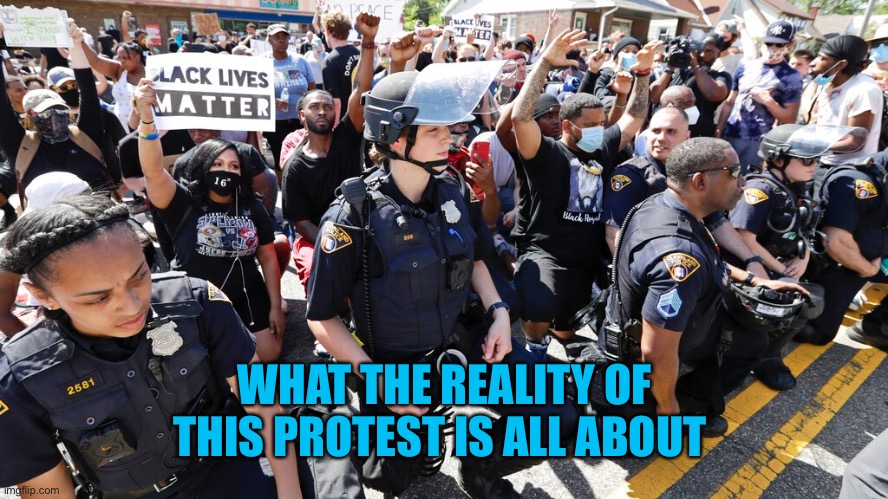 WHAT THE REALITY OF THIS PROTEST IS ALL ABOUT | made w/ Imgflip meme maker