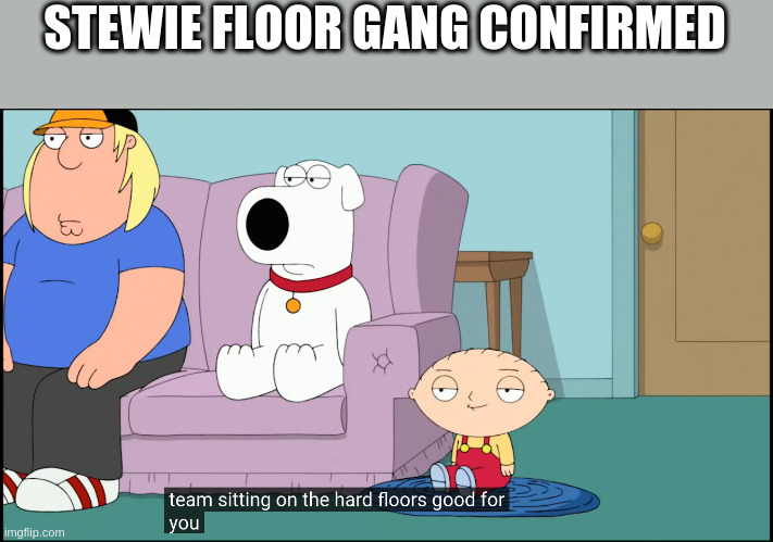 Aouh | STEWIE FLOOR GANG CONFIRMED | image tagged in family guy | made w/ Imgflip meme maker
