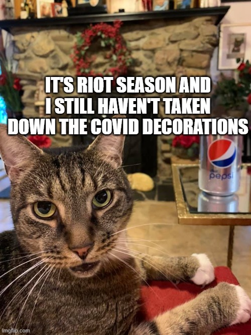 Riot Season | IT'S RIOT SEASON AND I STILL HAVEN'T TAKEN DOWN THE COVID DECORATIONS | image tagged in cynical cat,riots,covid-19,george floyd,rioting | made w/ Imgflip meme maker