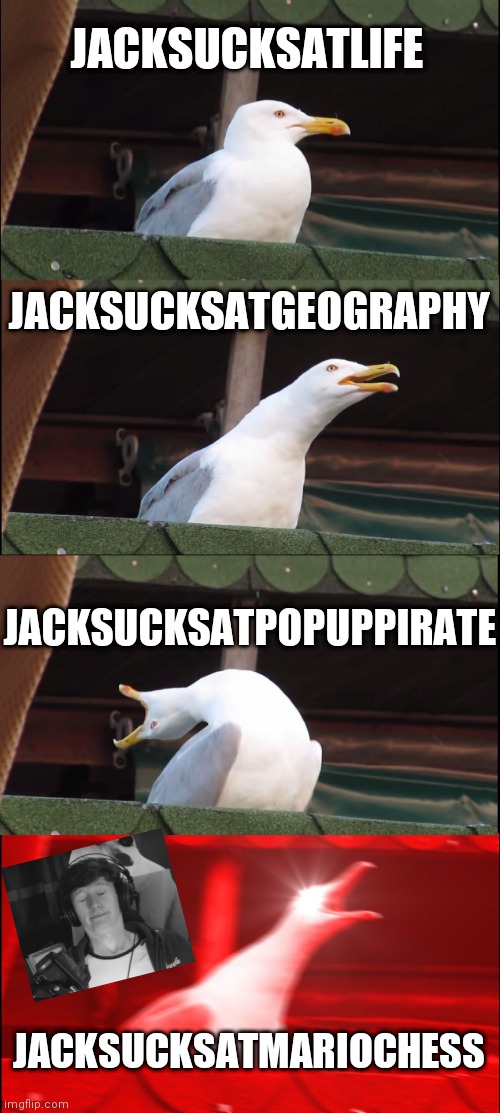 JackSucksAtLife channels | JACKSUCKSATLIFE; JACKSUCKSATGEOGRAPHY; JACKSUCKSATPOPUPPIRATE; JACKSUCKSATMARIOCHESS | image tagged in memes,inhaling seagull | made w/ Imgflip meme maker