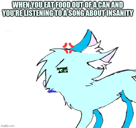 No? You haven't? haha okay | WHEN YOU EAT FOOD OUT OF A CAN AND YOU'RE LISTENING TO A SONG ABOUT INSANITY | image tagged in pissed juniper | made w/ Imgflip meme maker