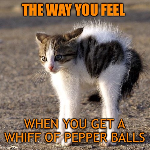 THE WAY YOU FEEL WHEN YOU GET A WHIFF OF PEPPER BALLS | made w/ Imgflip meme maker