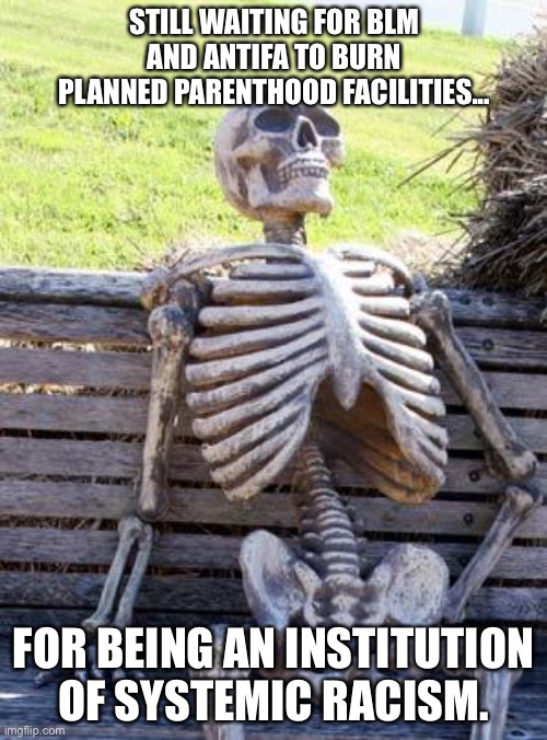 Planned Parenthood was started by a racist | STILL WAITING FOR BLM AND ANTIFA TO BURN PLANNED PARENTHOOD FACILITIES... FOR BEING AN INSTITUTION OF SYSTEMIC RACISM. | image tagged in memes,waiting skeleton,racist,abortion,black lives matter,baby | made w/ Imgflip meme maker
