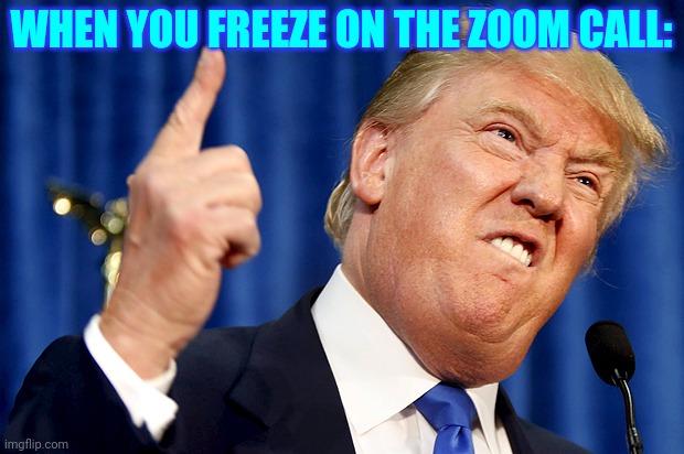 When you freeze on the zoom call | WHEN YOU FREEZE ON THE ZOOM CALL: | image tagged in donald trump | made w/ Imgflip meme maker