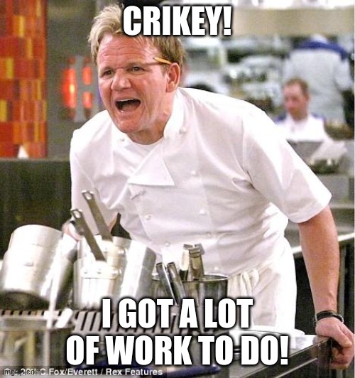 Chef Gordon Ramsay Meme | CRIKEY! I GOT A LOT OF WORK TO DO! | image tagged in memes,chef gordon ramsay | made w/ Imgflip meme maker