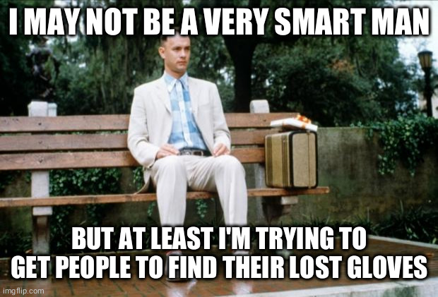 Tom Hanks smart | I MAY NOT BE A VERY SMART MAN; BUT AT LEAST I'M TRYING TO GET PEOPLE TO FIND THEIR LOST GLOVES | image tagged in forrest gump,gloves,tom hanks,memes | made w/ Imgflip meme maker