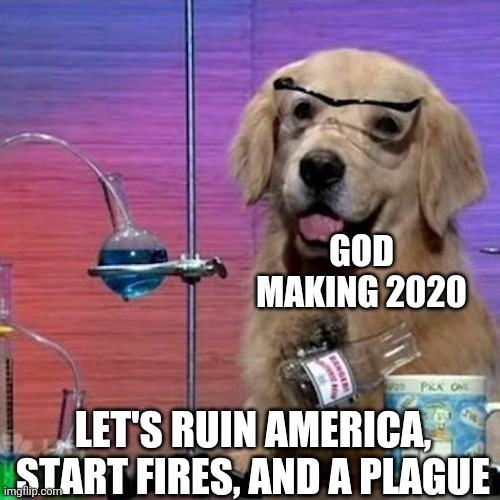 I Have No Idea What I Am Doing Dog | GOD MAKING 2020; LET'S RUIN AMERICA, START FIRES, AND A PLAGUE | image tagged in memes,i have no idea what i am doing dog | made w/ Imgflip meme maker
