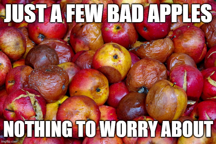 Police brutality? | JUST A FEW BAD APPLES; NOTHING TO WORRY ABOUT | image tagged in bad apples | made w/ Imgflip meme maker