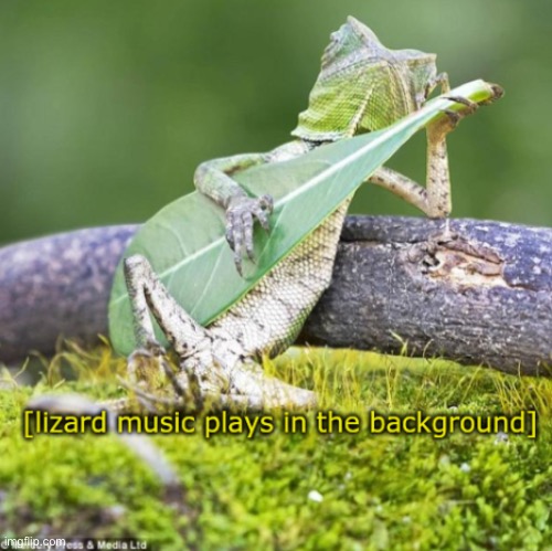 Lizard | image tagged in lizard | made w/ Imgflip meme maker