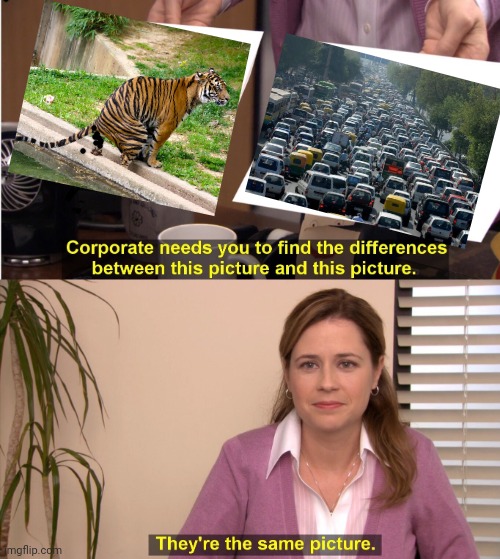 -Copylike of presentation. | image tagged in memes,they're the same picture,worlds biggest traffic jam,pooping,get a job,equality | made w/ Imgflip meme maker
