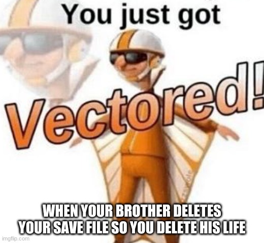 You just got vectored | WHEN YOUR BROTHER DELETES YOUR SAVE FILE SO YOU DELETE HIS LIFE | image tagged in you just got vectored | made w/ Imgflip meme maker