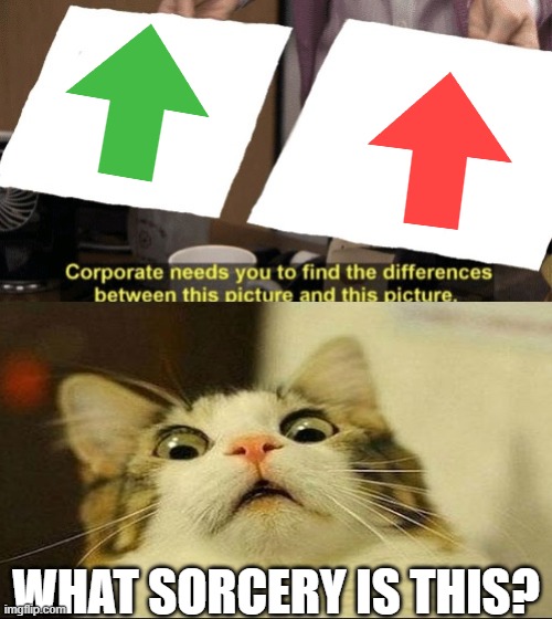 WHAT SORCERY IS THIS? | image tagged in cat | made w/ Imgflip meme maker