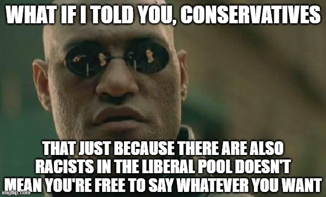 Matrix Morpheus | WHAT IF I TOLD YOU, CONSERVATIVES; THAT JUST BECAUSE THERE ARE ALSO RACISTS IN THE LIBERAL POOL DOESN'T MEAN YOU'RE FREE TO SAY WHATEVER YOU WANT | image tagged in memes,matrix morpheus,meme,political meme | made w/ Imgflip meme maker