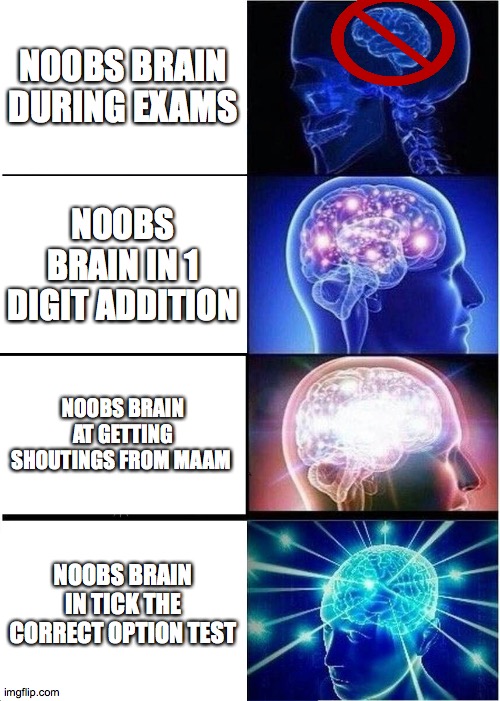 Noobs lifestyle | NOOBS BRAIN DURING EXAMS; NOOBS BRAIN IN 1 DIGIT ADDITION; NOOBS BRAIN AT GETTING SHOUTINGS FROM MAAM; NOOBS BRAIN IN TICK THE CORRECT OPTION TEST | image tagged in memes,expanding brain | made w/ Imgflip meme maker