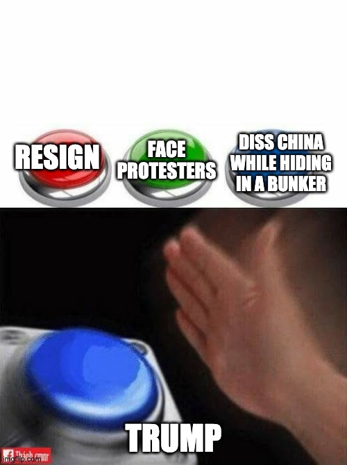 Trump's Life Choices | DISS CHINA WHILE HIDING IN A BUNKER; FACE PROTESTERS; RESIGN; TRUMP | image tagged in donald trump,red green blue buttons,black lives matter,george floyd,protesters,china | made w/ Imgflip meme maker