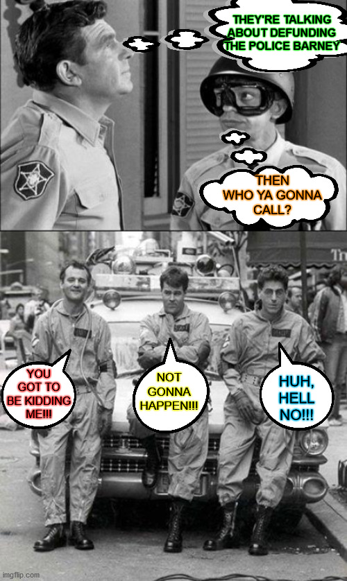 Who ya gonna call? | THEY'RE TALKING ABOUT DEFUNDING THE POLICE BARNEY; THEN WHO YA GONNA
CALL? NOT GONNA HAPPEN!!! YOU GOT TO BE KIDDING ME!!! HUH, HELL NO!!! | image tagged in ghost busters,trump protestors,one does not simply,its not going to happen,memes,police | made w/ Imgflip meme maker