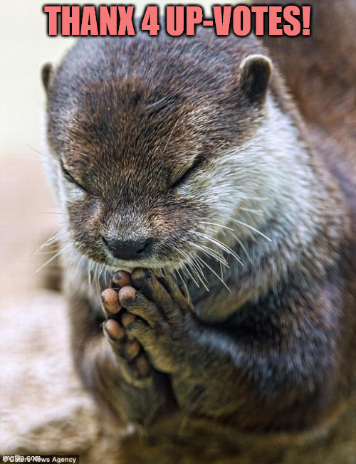 Thank you Lord Otter | THANX 4 UP-VOTES! | image tagged in thank you lord otter | made w/ Imgflip meme maker