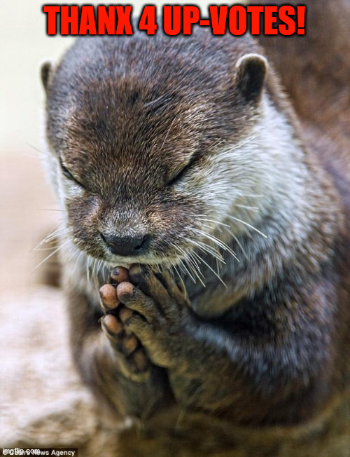 Thank you Lord Otter | THANX 4 UP-VOTES! | image tagged in thank you lord otter | made w/ Imgflip meme maker