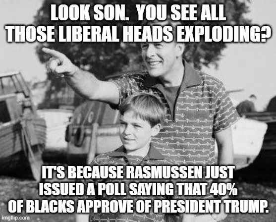 Look Son | LOOK SON.  YOU SEE ALL THOSE LIBERAL HEADS EXPLODING? IT'S BECAUSE RASMUSSEN JUST ISSUED A POLL SAYING THAT 40% OF BLACKS APPROVE OF PRESIDENT TRUMP. | image tagged in memes,look son | made w/ Imgflip meme maker