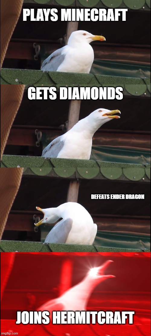 Inhaling Seagull | PLAYS MINECRAFT; GETS DIAMONDS; DEFEATS ENDER DRAGON; JOINS HERMITCRAFT | image tagged in memes,inhaling seagull | made w/ Imgflip meme maker