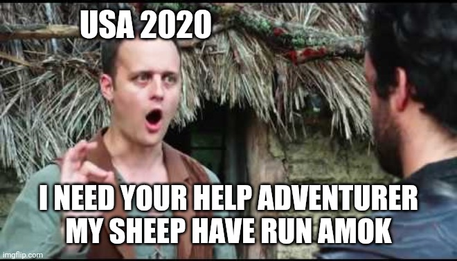 Epic NPC Man | USA 2020; I NEED YOUR HELP ADVENTURER MY SHEEP HAVE RUN AMOK | image tagged in epic npc man | made w/ Imgflip meme maker