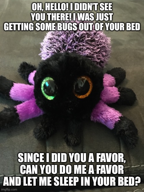 Sleepy Spider | OH, HELLO! I DIDN’T SEE YOU THERE! I WAS JUST GETTING SOME BUGS OUT OF YOUR BED; SINCE I DID YOU A FAVOR, CAN YOU DO ME A FAVOR AND LET ME SLEEP IN YOUR BED? | image tagged in sleepy,spider,cute | made w/ Imgflip meme maker