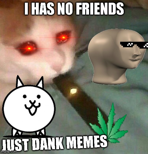 Sad juul cat | I HAS NO FRIENDS; JUST DANK MEMES | image tagged in sad juul cat | made w/ Imgflip meme maker