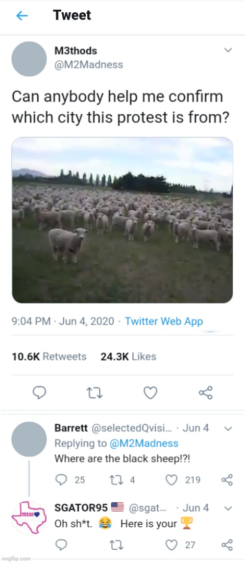 Protesting Sheep | image tagged in protest,protesters,sheep | made w/ Imgflip meme maker