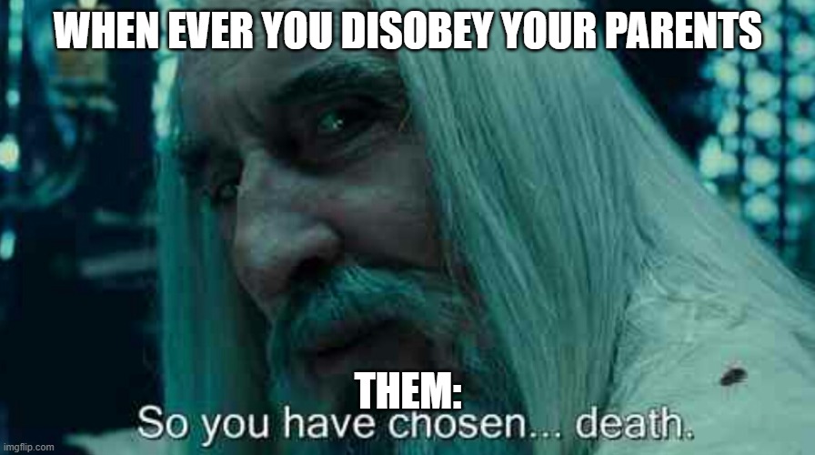 Your Parents | WHEN EVER YOU DISOBEY YOUR PARENTS; THEM: | image tagged in so you have chosen death | made w/ Imgflip meme maker