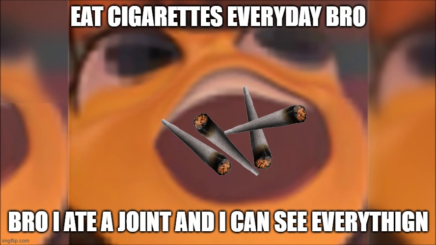 weed | EAT CIGARETTES EVERYDAY BRO; BRO I ATE A JOINT AND I CAN SEE EVERYTHIGN | image tagged in bee movie,meme,weed | made w/ Imgflip meme maker