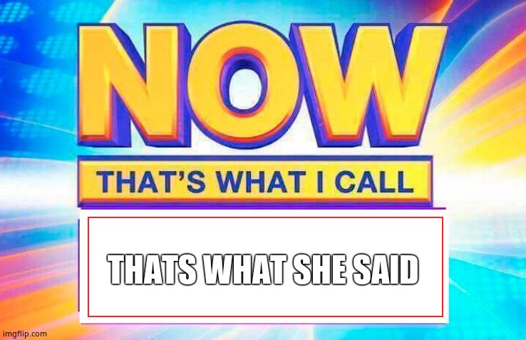 Now That’s What I Call | THATS WHAT SHE SAID | image tagged in now thats what i call | made w/ Imgflip meme maker