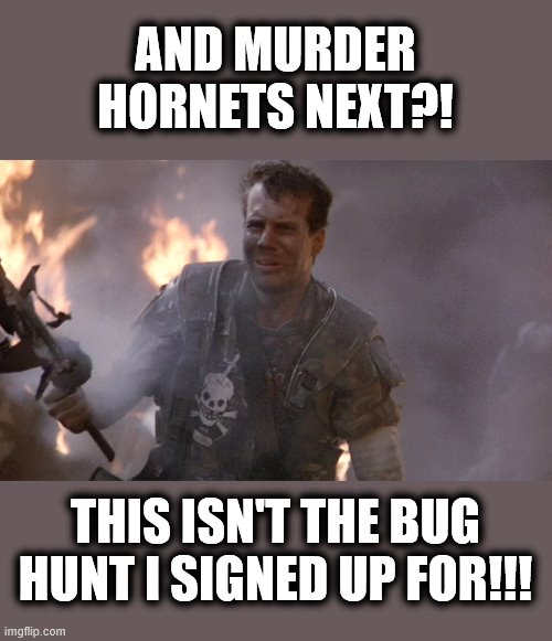 Game over, man! | AND MURDER HORNETS NEXT?! THIS ISN'T THE BUG HUNT I SIGNED UP FOR!!! | image tagged in game over man aliens,murder hornets,bill paxton,2020,bug hunt | made w/ Imgflip meme maker