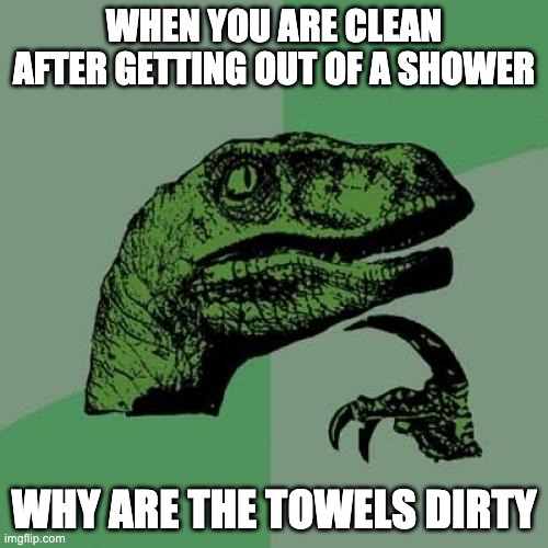 Philosoraptor | WHEN YOU ARE CLEAN AFTER GETTING OUT OF A SHOWER; WHY ARE THE TOWELS DIRTY | image tagged in memes,philosoraptor | made w/ Imgflip meme maker
