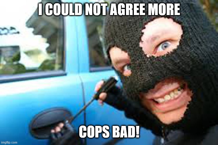 Thief | I COULD NOT AGREE MORE COPS BAD! | image tagged in thief | made w/ Imgflip meme maker