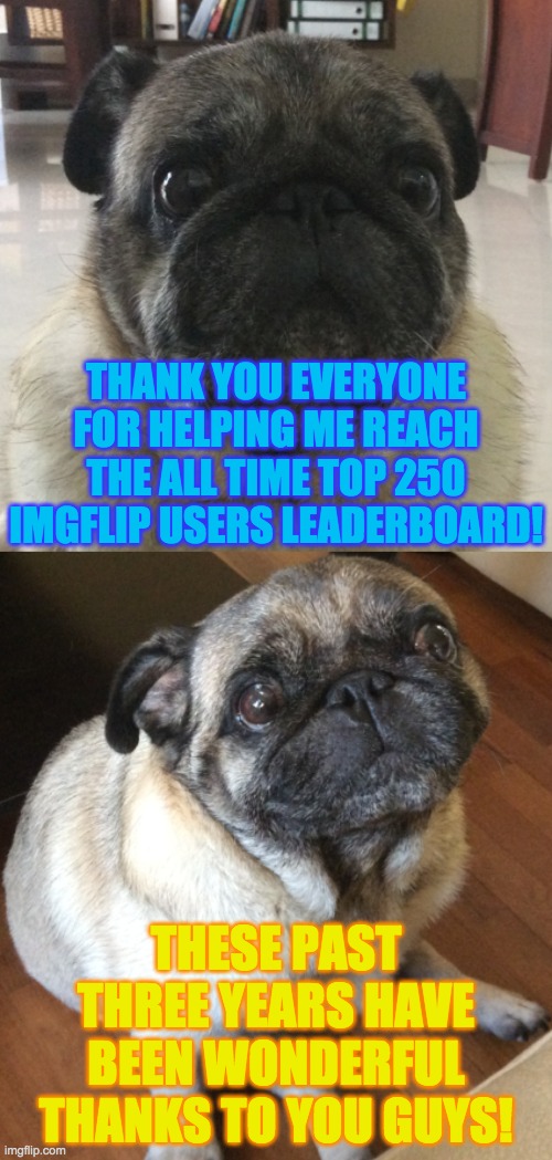 Thank you so much everybody! | THANK YOU EVERYONE FOR HELPING ME REACH THE ALL TIME TOP 250 IMGFLIP USERS LEADERBOARD! THESE PAST THREE YEARS HAVE BEEN WONDERFUL THANKS TO YOU GUYS! | image tagged in memes,imgflip points,leaderboard,pugs | made w/ Imgflip meme maker