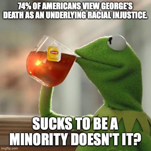 But That's None Of My Business Meme | 74% OF AMERICANS VIEW GEORGE'S DEATH AS AN UNDERLYING RACIAL INJUSTICE. SUCKS TO BE A MINORITY DOESN'T IT? | image tagged in memes,but that's none of my business,kermit the frog | made w/ Imgflip meme maker