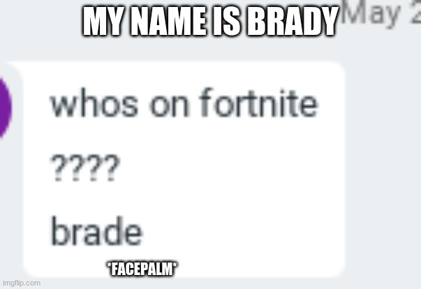 my name is....sigh |  MY NAME IS BRADY; *FACEPALM* | image tagged in my name issigh | made w/ Imgflip meme maker