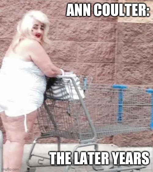 Ann Coulter, the later years | ANN COULTER:; THE LATER YEARS | image tagged in funny memes | made w/ Imgflip meme maker