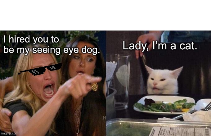 Woman Yelling At Cat Meme | I hired you to be my seeing eye dog. Lady, I’m a cat. | image tagged in memes,woman yelling at cat | made w/ Imgflip meme maker