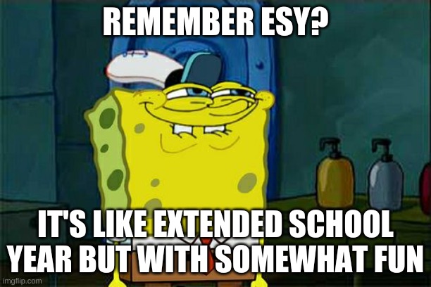 ESY Meme | REMEMBER ESY? IT'S LIKE EXTENDED SCHOOL YEAR BUT WITH SOMEWHAT FUN | image tagged in memes,don't you squidward | made w/ Imgflip meme maker