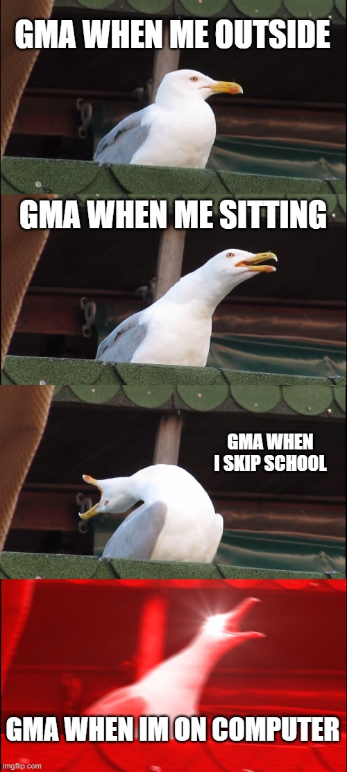 Inhaling Seagull | GMA WHEN ME OUTSIDE; GMA WHEN ME SITTING; GMA WHEN I SKIP SCHOOL; GMA WHEN IM ON COMPUTER | image tagged in memes,inhaling seagull | made w/ Imgflip meme maker